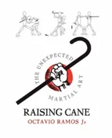 Podnoszenie laski - nieoczekiwana sztuka walki - Raising Cane - The Unexpected Martial Art