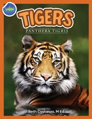 Tygrysy, Panthera Tigris w wieku 2-4 lat - Tigers, Panthera Tigris ages 2-4