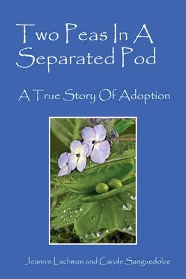 Dwa groszki w oddzielonej kapsule: prawdziwa historia adopcji - Two Peas In A Separated Pod: A True Story of Adoption