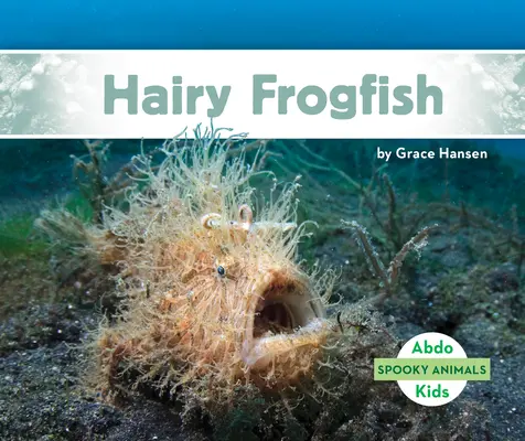 Owłosiona żabnica - Hairy Frogfish