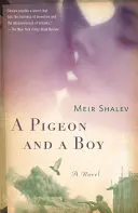 Gołąb i chłopiec - A Pigeon and a Boy