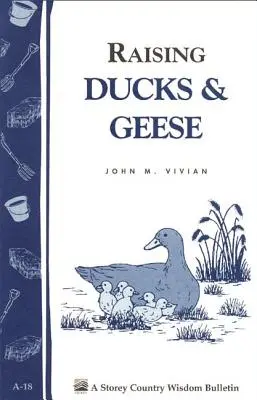 Hodowla kaczek i gęsi: Storey's Country Wisdom Bulletin A-18 - Raising Ducks & Geese: Storey's Country Wisdom Bulletin A-18