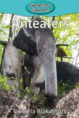 Antylopy - Anteaters