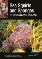 Skorupiaki i gąbki morskie Wielkiej Brytanii i Irlandii - Sea Squirts and Sea Sponges of Britain and Ireland