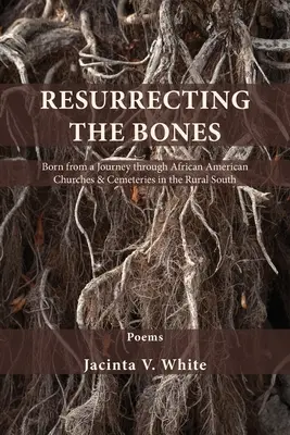 Wskrzeszanie kości: Zrodzone z podróży przez afroamerykańskie kościoły i cmentarze na wiejskim Południu - Resurrecting the Bones: Born from a Journey through African American Churches & Cemeteries in the Rural South