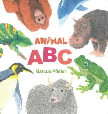 ABC zwierząt - Animal ABC