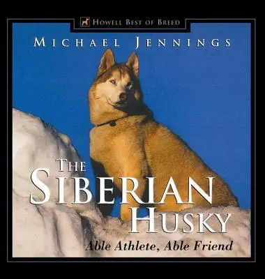 Husky syberyjski: Zdolny sportowiec, zdolny przyjaciel - The Siberian Husky: Able Athlete, Able Friend