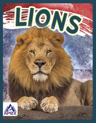 Lwy - Lions