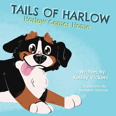 Ogony Harlow: Harlow wraca do domu - Tails of Harlow: Harlow Comes Home