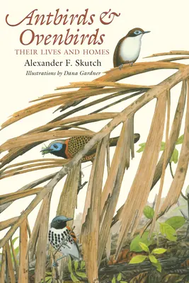 Antbirds and Ovenbirds: Ich życie i domy - Antbirds and Ovenbirds: Their Lives and Homes