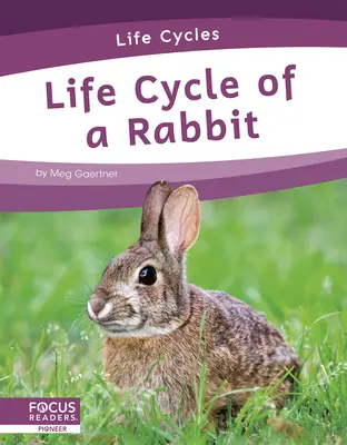 Cykl życia królika - Life Cycle of a Rabbit