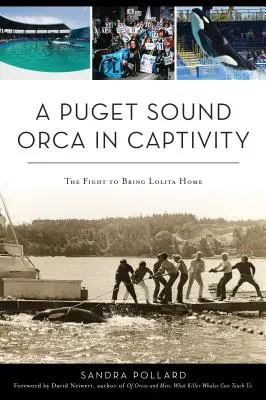 Orka z Puget Sound w niewoli: Walka o powrót Lolity do domu - A Puget Sound Orca in Captivity: The Fight to Bring Lolita Home
