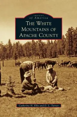 Białe góry hrabstwa Apache - White Mountains of Apache County
