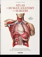 Bourgery. Atlas anatomii i chirurgii człowieka - Bourgery. Atlas of Human Anatomy and Surgery