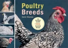 Rasy drobiu: Kury, kaczki, gęsi, indyki: Kieszonkowy przewodnik po 104 podstawowych rasach - Poultry Breeds: Chickens, Ducks, Geese, Turkeys: The Pocket Guide to 104 Essential Breeds