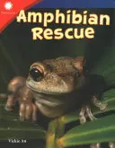 Ratowanie płazów - Amphibian Rescue