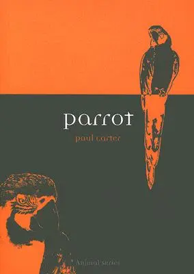 Papuga - Parrot