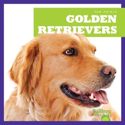 Golden Retrievery - Golden Retrievers