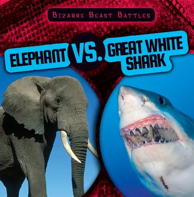 Słoń kontra żarłacz biały - Elephant vs. Great White Shark