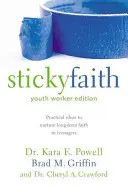 Lepka wiara, wydanie dla pracowników młodzieżowych: Praktyczne pomysły na pielęgnowanie długotrwałej wiary u nastolatków - Sticky Faith, Youth Worker Edition: Practical Ideas to Nurture Long-Term Faith in Teenagers