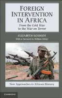 Zagraniczna interwencja w Afryce: Od zimnej wojny do wojny z terroryzmem - Foreign Intervention in Africa: From the Cold War to the War on Terror