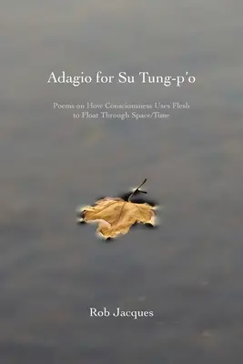 Adagio dla Su Tung-p'o: Wiersze o tym, jak świadomość wykorzystuje ciało do unoszenia się w czasie i przestrzeni - Adagio for Su Tung-p'o: Poems on How Consciousness Uses Flesh to Float Through Space/Time