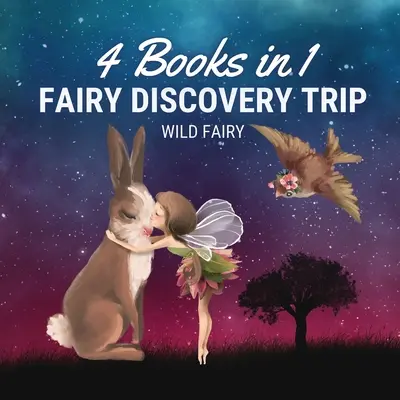 Wróżkowa podróż odkrywcza: 4 książki w 1 - Fairy Discovery Trip: 4 Books in 1