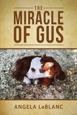Cud Gusa - The Miracle of Gus