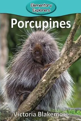 Jeżozwierze - Porcupines