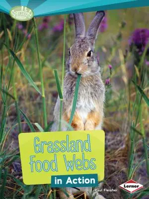 Sieci pokarmowe użytków zielonych w akcji - Grassland Food Webs in Action