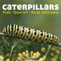 Gąsienice: Znajdź, zidentyfikuj, wyhoduj własne - Caterpillars: Find, Identify, Raise Your Own