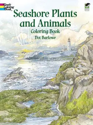 Kolorowanka z roślinami i zwierzętami morskimi - Seashore Plants and Animals Coloring Book