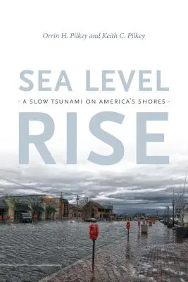 Wzrost poziomu morza: powolne tsunami na wybrzeżach Ameryki - Sea Level Rise: A Slow Tsunami on America's Shores
