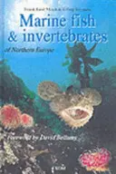 Ryby morskie i bezkręgowce Europy Północnej - Marine Fish & Invertebrates of Northern Europe