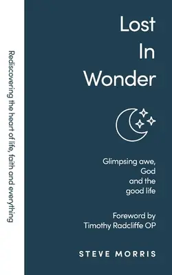 Lost in Wonder: Glimpsing Awe, God and the Good Life (Odkrywając na nowo wiarę, życie i wszystko) - Lost in Wonder: Glimpsing Awe, God and the Good Life (Rediscovering Faith Life And Everything)