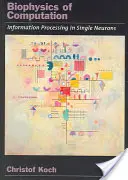 Biofizyka obliczeń: Przetwarzanie informacji w pojedynczych neuronach - Biophysics of Computation: Information Processing in Single Neurons