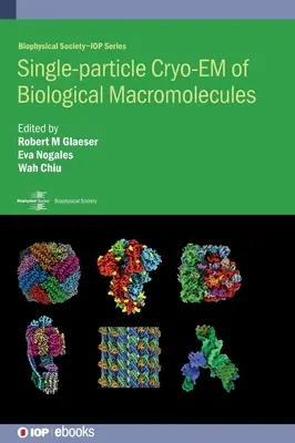 Jednocząsteczkowe krio-EM makrocząsteczek biologicznych - Single-particle Cryo-EM of Biological Macromolecules