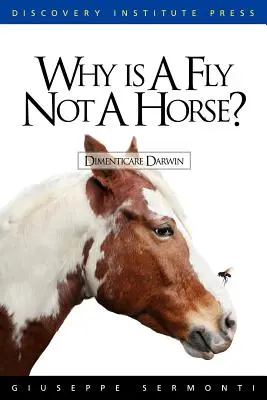 Dlaczego mucha nie jest koniem? - Why is a Fly Not a Horse?