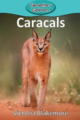 Karakale - Caracals