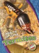 Termity - Termites