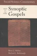 Komentarz nauk społecznych do Ewangelii synoptycznych - Social-Science Commentary on the Synoptic Gospels