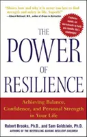 The Power of Resilience: Osiąganie równowagi, pewności siebie i osobistej siły w życiu - The Power of Resilience: Achieving Balance, Confidence, and Personal Strength in Your Life