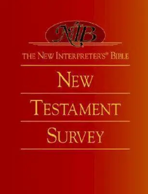 Biblia Nowego Tłumacza (r) Przegląd Nowego Testamentu - The New Interpreter's(r) Bible New Testament Survey