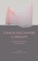 Kliniczne spotkania z seksualnością: Praktyka psychoanalityczna i teoria queer - Clinical Encounters in Sexuality: Psychoanalytic Practice and Queer Theory