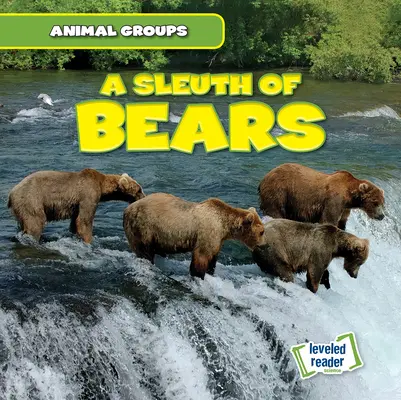 Niedźwiedzi tropiciel - A Sleuth of Bears