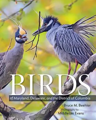 Ptaki Maryland, Delaware i Dystryktu Kolumbii - Birds of Maryland, Delaware, and the District of Columbia