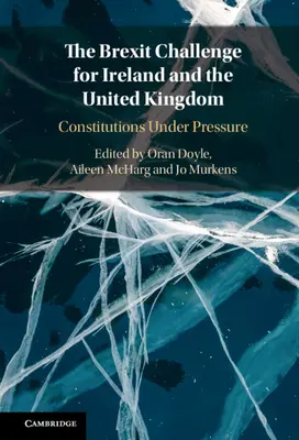 Brexit wyzwaniem dla Irlandii i Wielkiej Brytanii - The Brexit Challenge for Ireland and the United Kingdom