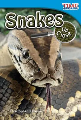 Węże z bliska - Snakes Up Close