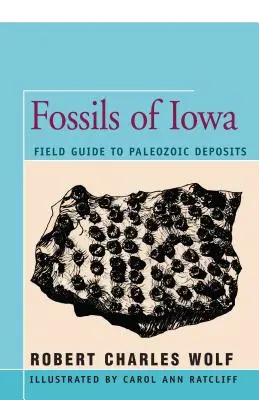 Skamieniałości stanu Iowa: Przewodnik terenowy po złożach paleozoicznych - Fossils of Iowa: Field Guide to Paleozoic Deposits