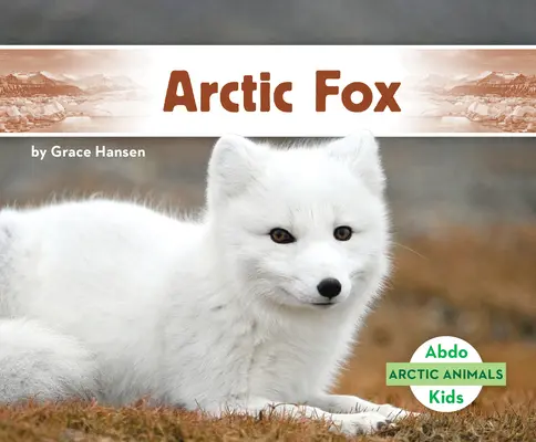 Lis polarny - Arctic Fox